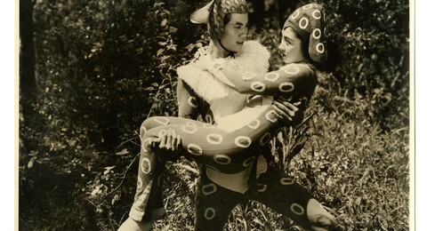 《大俠梅花鹿》